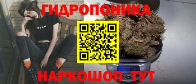 гидра Абакан