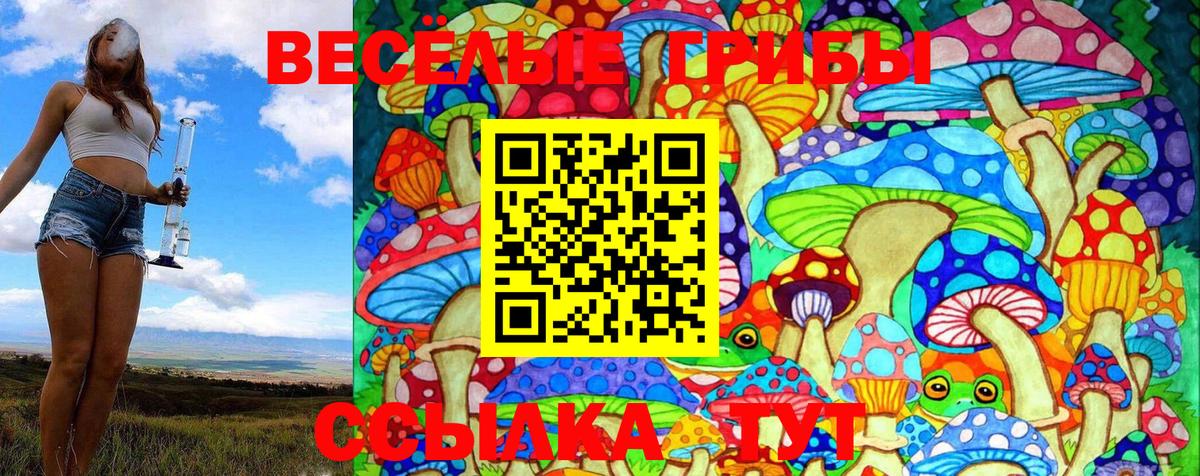 Псилоцибиновые грибы Psilocybe Красный Сулин