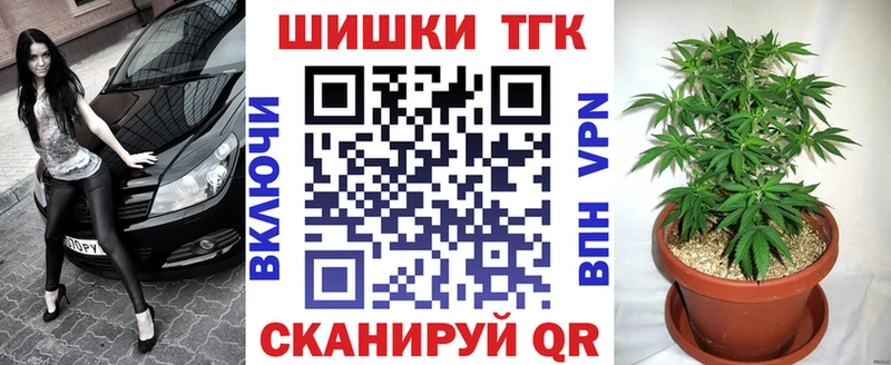 Конопля сатива  Красный Сулин 